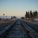 Misty tracks technically near home